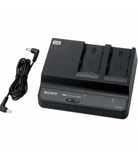 Cargador de baterías Sony BC-U2A