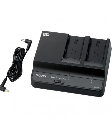 Cargador de baterías Sony BC-U2A