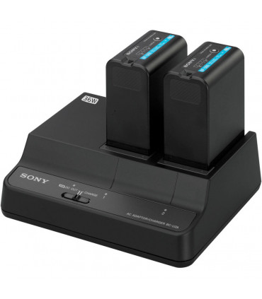 Cargador de baterías Sony BC-U2A