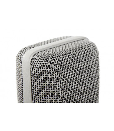 Microphone Neumann TLM 102