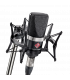 Microfono Neumann TLM 102